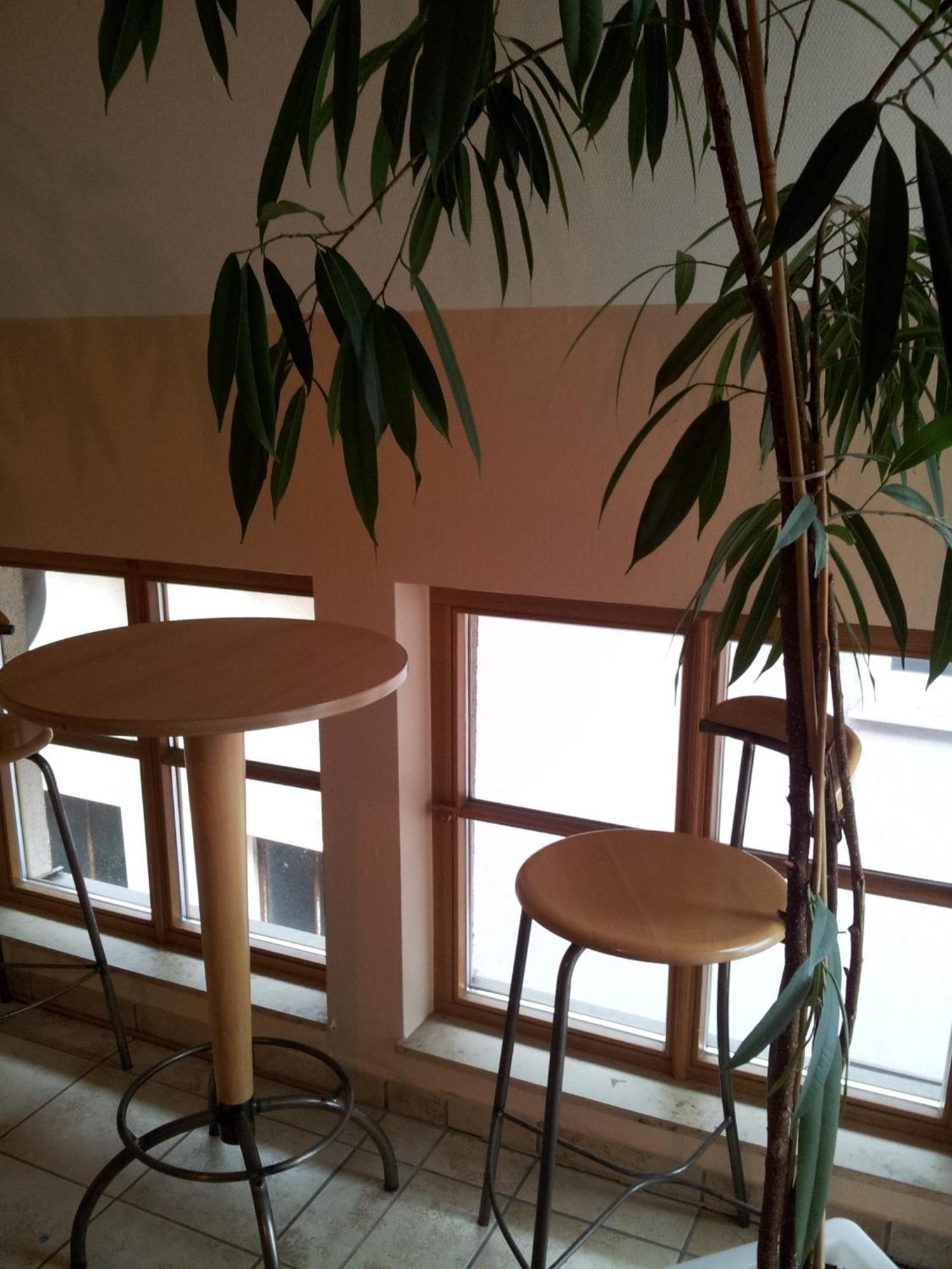 Hotel Zur frischen Quelle Oberasbach Zimmer foto